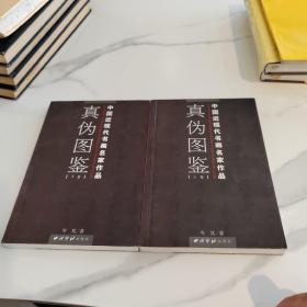 中国近现代书画名家作品真伪图鉴 上下