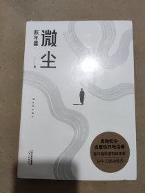 微尘（易中天感动推荐；陈年喜非虚构故事集；卑微如尘，也要热烈地活着。）