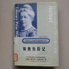 骑鹅历险记 下