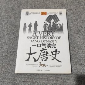 《一口气读完大唐史》 【品好如图，全一册】