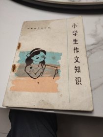 小学生作文知识