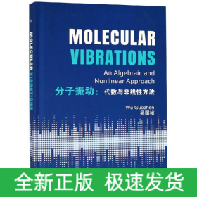 分子振动:代数与非线性方法(英文版)