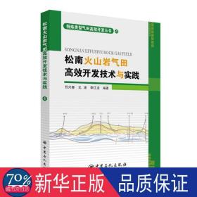 松南火山岩气田高效开发技术与实践