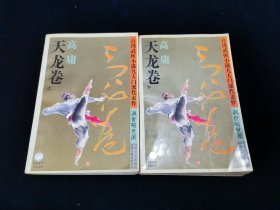 天龙卷（上下全二册）：台湾武侠小说九大门派代表作. 讽世喻世派【高庸著。前有叶洪生先生台湾武侠小说九大门派代表作总编序。】