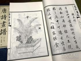 唐诗画谱(一函八册，节后下架)。