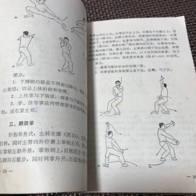 游身八卦连环掌