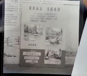 1966安徽省农业展览馆底片一张：毛竹生产“深采远运，支援建设”展板实景（210701）