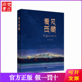 看见西藏