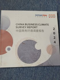 中国商务环境调查报告2024