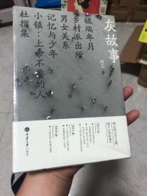 《灰故事》当代华语文学传媒大奖大奖得主阿乙处女作