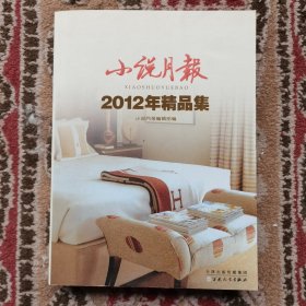 小说月报2012年精品集 实拍图