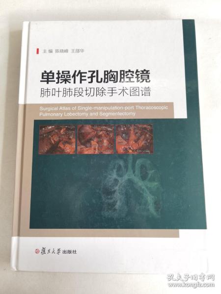 单操作孔胸腔镜肺叶肺段切除手术图谱