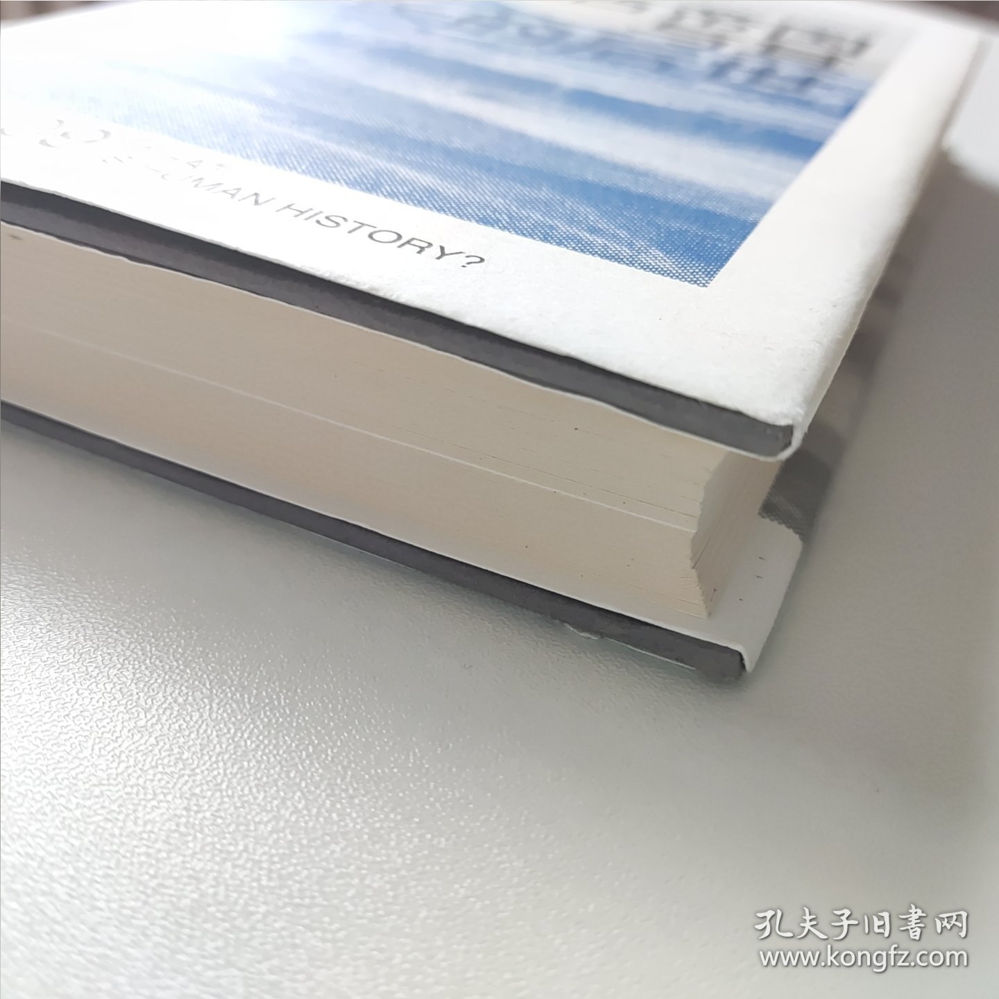 蒙古帝国与其漫长的后世