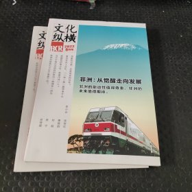 文化纵横 2022年8月号 第4期（非洲：从觉醒走向发展）