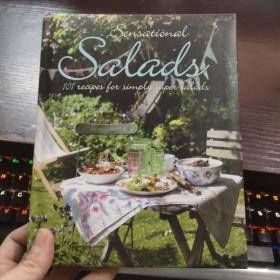 101 reeipes for simply saper salads101个简单的沙培尔沙拉（外文书）
