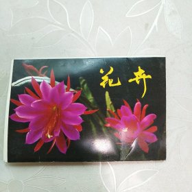 明信片.花卉