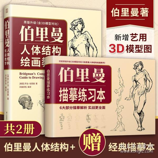 伯里曼人体结构绘画教学（赠:伯里曼描摹练习本）  3D模型对比素描基础教程 理解人体形态基础入门 人体结构造型手绘解剖技法书