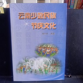 《云南少数民族节庆文化》【正版现货，品如图】