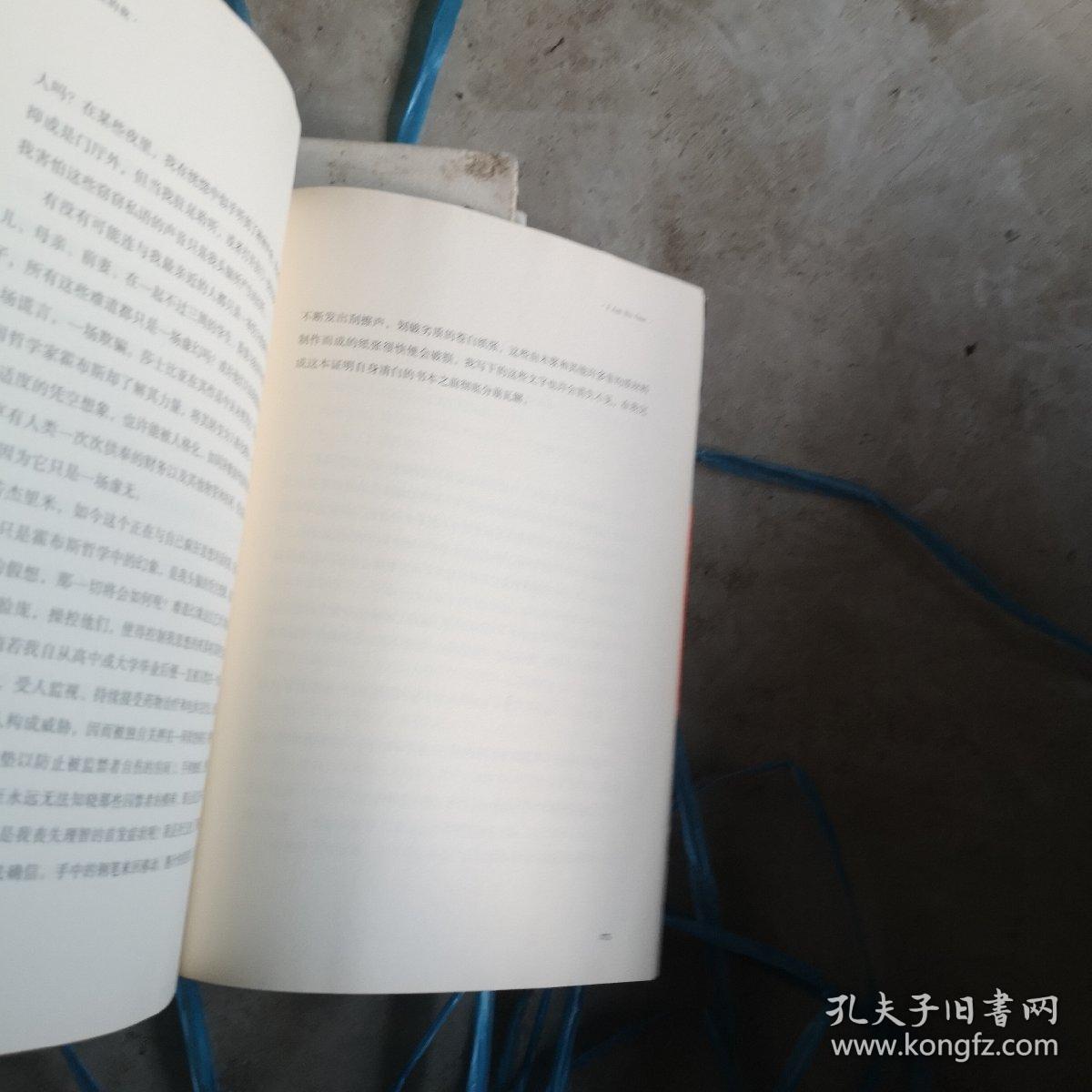 不存在的我（美国全国公共电台年度好书）