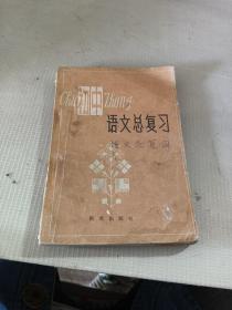 初中语文总复习