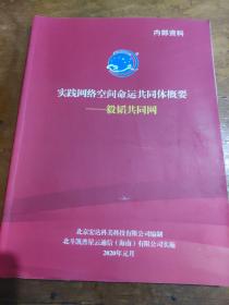 实践网络空间命运共同体概要 毅韬共同网