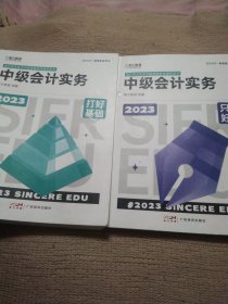 打好基础 中级实务 +是做好题中级实务2023 经济考试(2册合售)