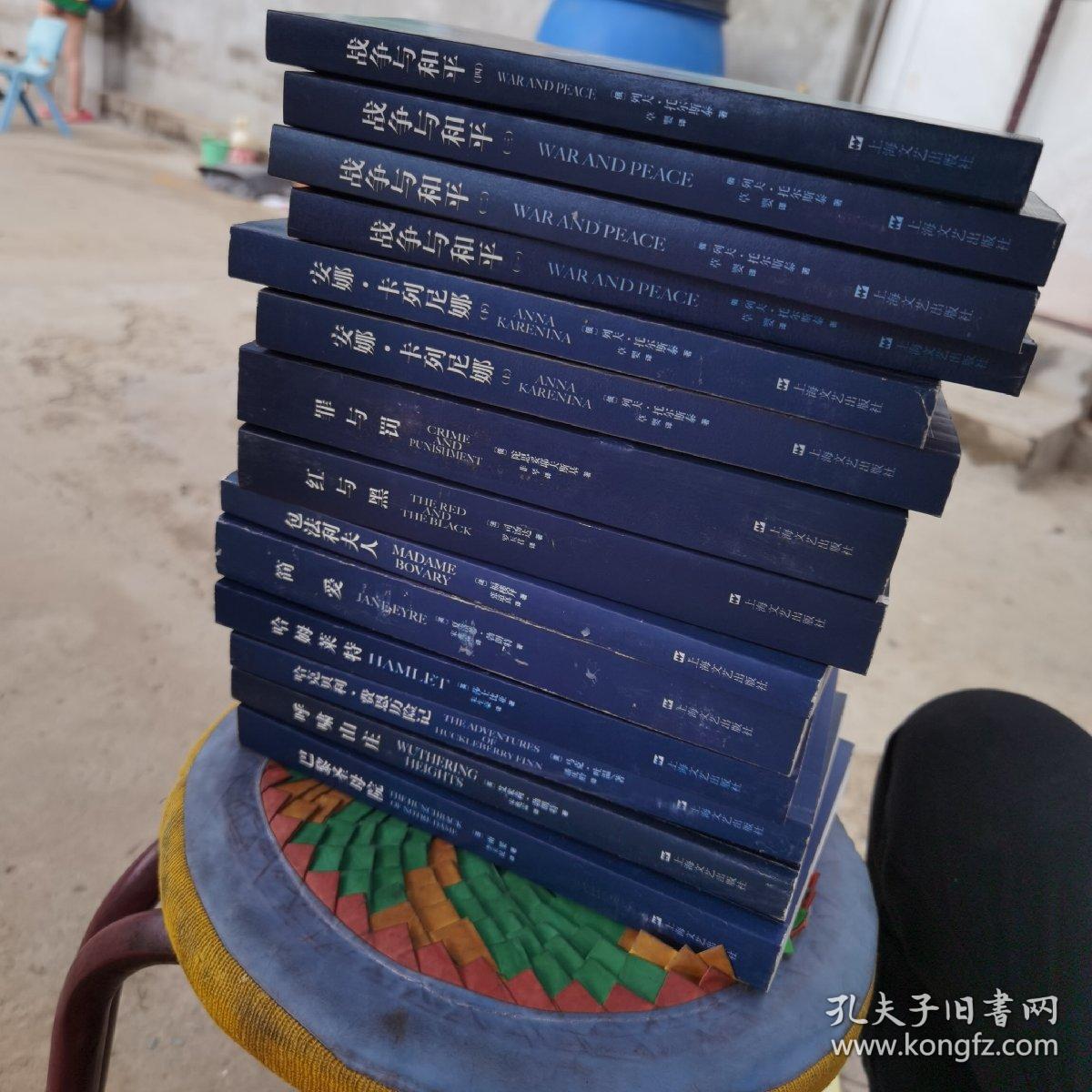 世界十大文学名著，14本合集
简爱，包法利夫人，红与黑，罪与罚，巴黎圣母院，哈姆莱特，哈利贝利费恩历险记，呼啸山庄，安娜卡列尼娜上下，战争与和平1234