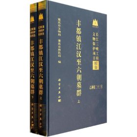 正版 丰都镇江汉至六朝墓群(上下册) 重庆市文化遗产研究院 科学出版社