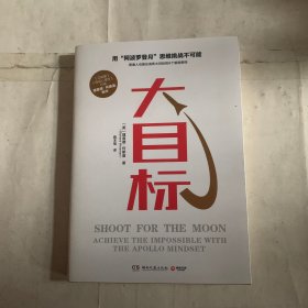 大目标（怀斯曼用心理学知识帮你拆解如何实现看似不可能大目标的心理励志图书）