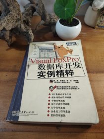 Visual FoxPro数据库开发实例精粹——开发专家之数据库