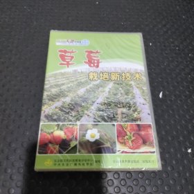 草莓栽培新技术DVD