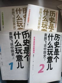 历史是个什么玩意儿1.2.3.4全4册袁腾飞