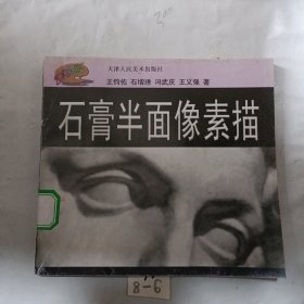 石膏半面像素描