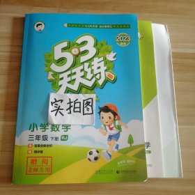 53天天练 小学数学 三年级下 RJ（人教版）2017年春