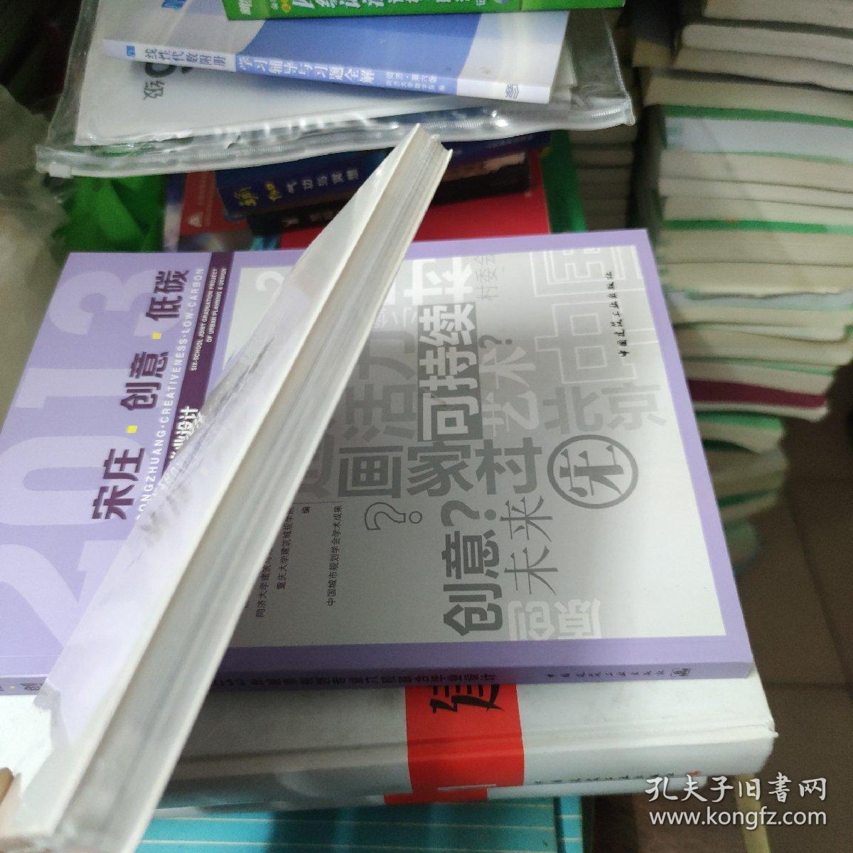 无独有偶——场所与秩序的考量 全新未拆封