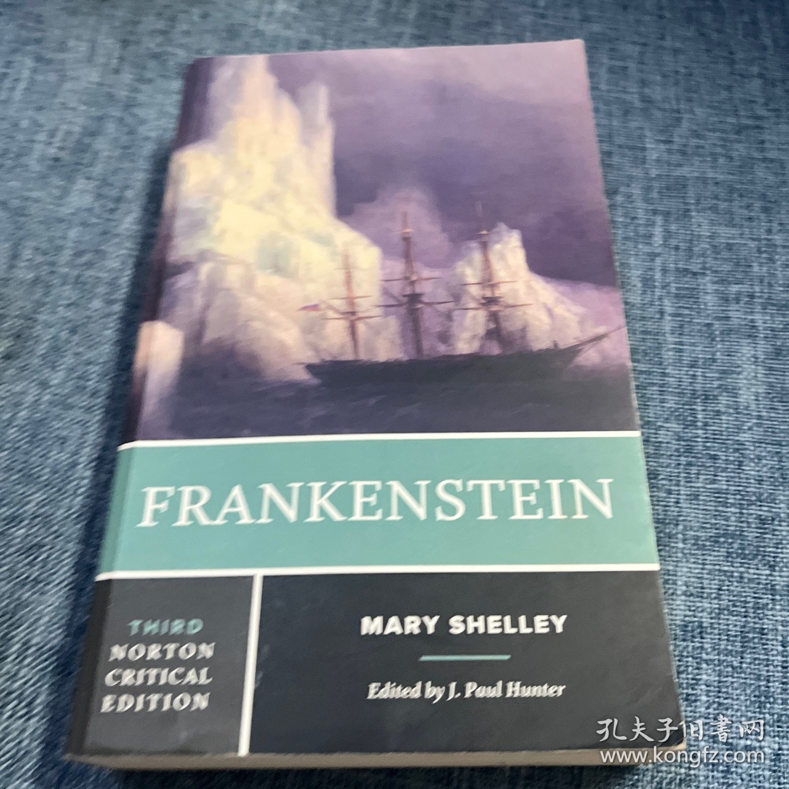 点击查看原图 Norton Critical Editions Frankenstein 英文原版 弗兰肯斯坦 诺顿文学解读系列