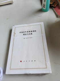 中国青年发展规划的理论与实践