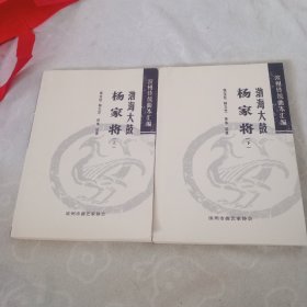 渤海大鼓，杨家将，全二册