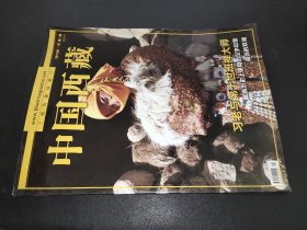 中国西藏 2013年11月 第6期