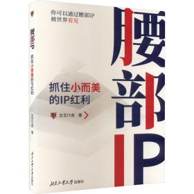 腰部ip 抓住小而美的ip红利 电子商务 文艺it虎