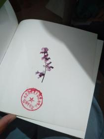 花息叶语:时尚花饰创意设计:[图集]