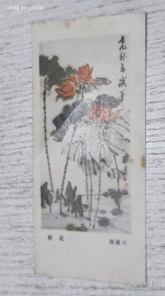 1985年《年历片 荷花》阎丽川