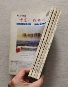 《中篇小说选刊》2004.2.4.5.6期四本