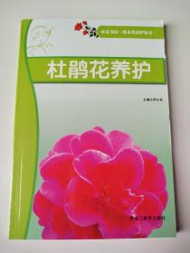 杜鹃花养护