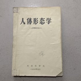 人体形态学（人体解剖学部分）