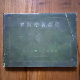 客货车名称鑑