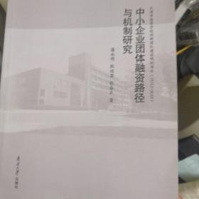 中小企业团体融资路径与机制研究