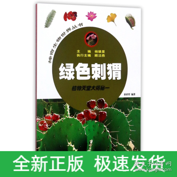 绿色刺猬——植物天堂大揭秘一