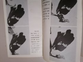 李苦禅画鹰