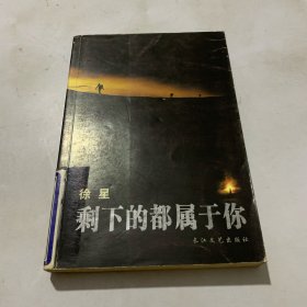 剩下的都属于你